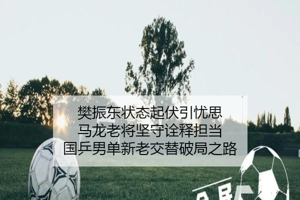 fan-zhen-dong-zhuang-tai-qi-fu-yin-you-si-ma-long-lao-jiang-jian-shou-quan-shi-dan-dang-guo-ping-nan-dan-xin-lao-jiao-2-471.jpg